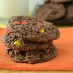 Chocolate Peanut Butter Cookies - Recipe photo by bekita