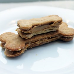 Peanut Butter Dog Treats - Recipe photo by kellzvb