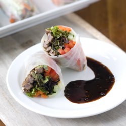 Steak Spring Rolls - Recipe photo by Simply Gourmet Photography