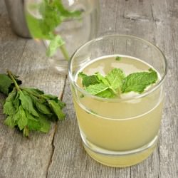 Orange Mojito w/Mint - Recipe photo by Hungry Couple