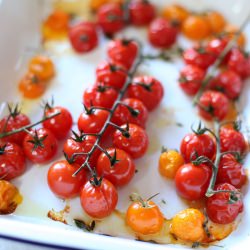 Oven Roasted Tomatoes - Recipe photo by Miss Renaissance