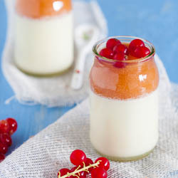 Nectarine Panna Cotta - Recipe photo by Junglefrog