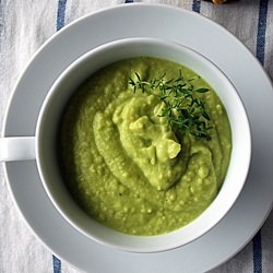 Cream of Avocado Soup - Recipe photo by eintopf
