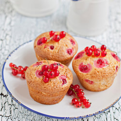 Muffins with Red Currants - Recipe photo by katherine_mor