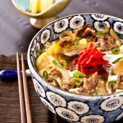Gyudon | Beef Bowl - Recipe photo by Just One Cookbook