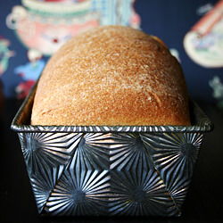 Honey Whole Wheat Bread - Recipe photo by localmilk