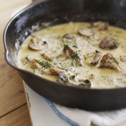 mushroom & dill pasta - Recipe photo by happy tomodachi