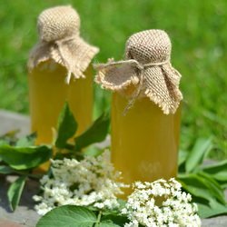 Elderflower Syrup - Recipe photo by thiessa