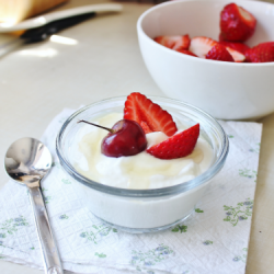 Homemade Greek Yoghurt - Recipe photo by mysweetfrostings