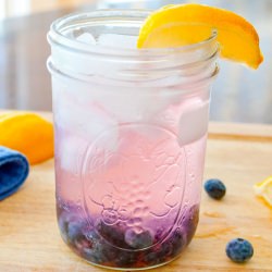 The Blueberry Crush Cocktail - Recipe photo by slimpickinskitchen