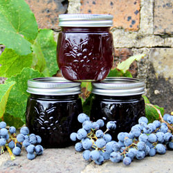Canning Grape Jelly - Recipe photo by Sweet Southern Blue