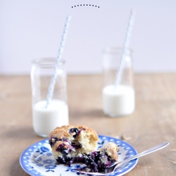Blueberry Muffins - Recipe photo by argone