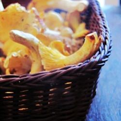 Charming chanterelles - Recipe photo by qjamanka