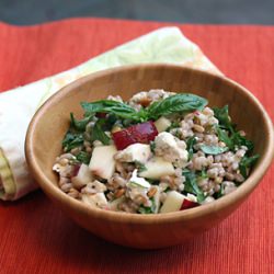 Farro Nectarine Salad - Recipe photo by Food Gal