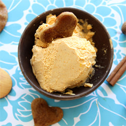Pumpkin Pie Ice Cream - Recipe photo by HomeSkillet