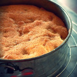 Somerset Apple Cider Cake - Recipe photo by LemonDrop