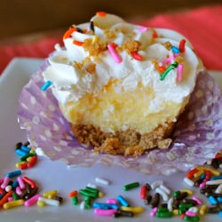 Mini Cake Batter Cheesecakes - Recipe photo by MrsSchwartzsKitchen