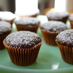 Double Chocolate Zucchini Cupcakes - Recipe photo by MomsKitchenHandbook