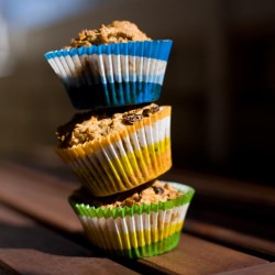 Carrot Muffins - Recipe photo by butcanshebake