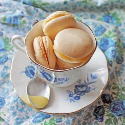 Vanilla Macarons with Lemon Curd - Recipe photo by kellzvb