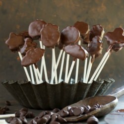 Chocolate Covered Marshmallows - Recipe photo by The BearFoot Baker