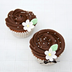 Chocolate Ganache Cupcakes - Recipe photo by Graella de sucre