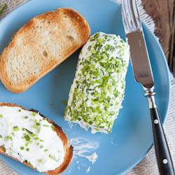 Making your own goat cheese - Recipe photo by Junglefrog