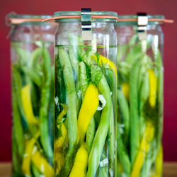 Pickled Dilly Green Beans - Recipe photo by ourapronstrings
