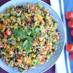 Quinoa Salad with Blackened Prawns - Recipe photo by trialsinfood