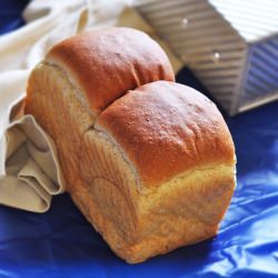 30% Whole Wheat Sandwich Bread - Recipe photo by addalittlelove