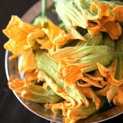 Zucchini Blossoms - Recipe photo by Shanon