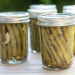 Dilly Beans - Recipe photo by dawnkl