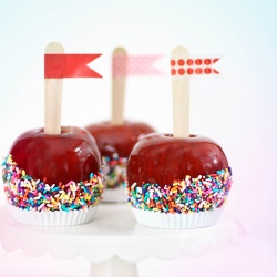 Classic Candied Apples - Recipe photo by sprinklebakes