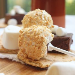 S'mores Fudge Pops - Recipe photo by itsybitsyfoodies