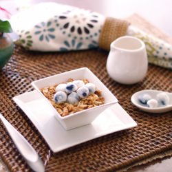 Homemade Granola - Recipe photo by The Realistic Housewife