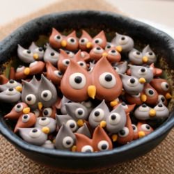 Royal Icing Owls - Recipe photo by sweetsugarbelle