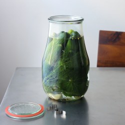 Fermented Garlic and Dill Pickles - Recipe photo by Kitchen Konfidence