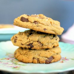 Pecan Chocolate Chip Cookies - Recipe photo by bakerita
