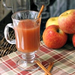 Pomegranate Cider Cocktail - Recipe photo by snappygourmet