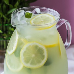 Sugar Free Gooseberry Juice - Recipe photo by cardamomhills