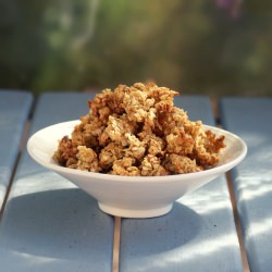 Basic Quinoa Flake Granola - Recipe photo by SouthernInLaw