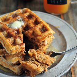 Apple Cider Waffle - Recipe photo by addapinch
