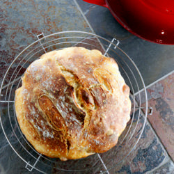 No-Knead French Bread - Recipe photo by Bob Vivant