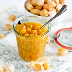 Gooseberry Refrigerator - Recipe photo by The Healthy Foodie