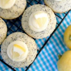 Lemon & Poppyseed Muffins - Recipe photo by eatsweetbycarlasue