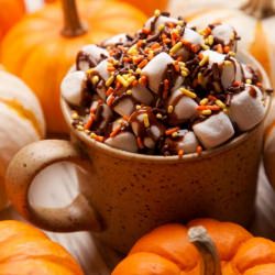 Loaded Hot Chocolate - Recipe photo by intoxicology101