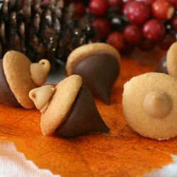Chocolate PB Acorns - Recipe photo by WiCProject