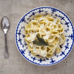 Butternut Squash Cream Sauce - Recipe photo by HMMessinger