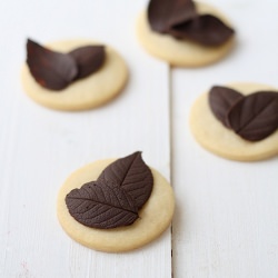 Cookies w/ Chocolate Leaves - Recipe photo by SandeeA