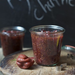 Fig Chutney - Recipe photo by foodwanderings